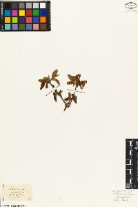 SW_BNB_s3010-07191_IMG-0000000001