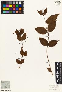 SW_BNB_s3010-07193_IMG-0000000001