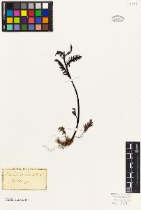 SW_BNB_s3010-07194_IMG-0000000001