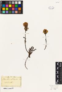 SW_BNB_s3010-07195_IMG-0000000001
