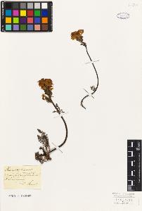 SW_BNB_s3010-07197_IMG-0000000001