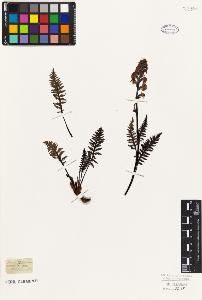 SW_BNB_s3010-07198_IMG-0000000001