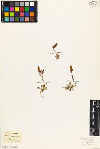 SW_BNB_s3010-07203_IMG-0000000001