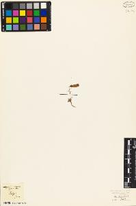 SW_BNB_s3010-07204_IMG-0000000001