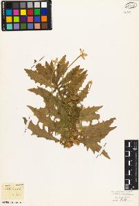 SW_BNB_s3010-07220_IMG-0000000001