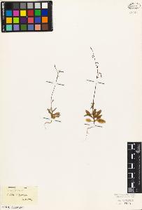 SW_BNB_s3010-07224_IMG-0000000001