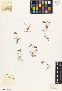 SW_BNB_s3010-07228_IMG-0000000001