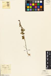 SW_BNB_s3010-07229_IMG-0000000001
