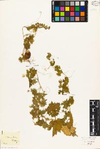 SW_BNB_s3010-07240_IMG-0000000001