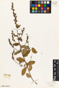 SW_BNB_s3010-07244_IMG-0000000001
