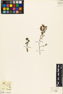 SW_BNB_s3010-07248_IMG-0000000001