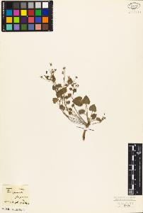SW_BNB_s3010-07250_IMG-0000000001