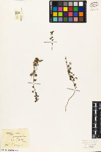 SW_BNB_s3010-07251_IMG-0000000001