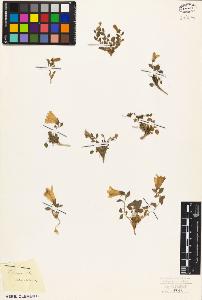 SW_BNB_s3010-07253_IMG-0000000001