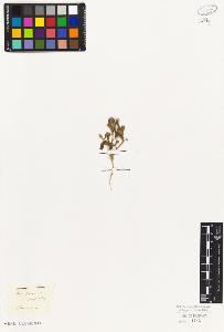 SW_BNB_s3010-07262_IMG-0000000001