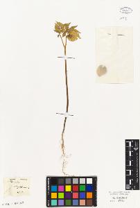 SW_BNB_s3010-07285_IMG-0000000001