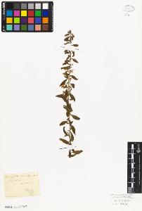 SW_BNB_s3010-07305_IMG-0000000001