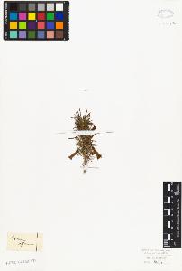 SW_BNB_s3010-07306_IMG-0000000001