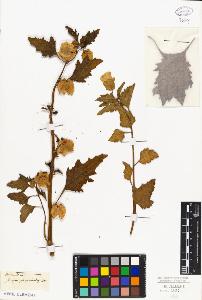SW_BNB_s3010-07308_IMG-0000000001