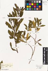 SW_BNB_s3010-07324_IMG-0000000001