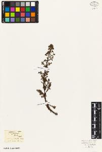 SW_BNB_s3010-07327_IMG-0000000001