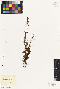 SW_BNB_s3010-07329_IMG-0000000001
