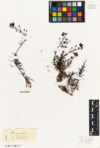 SW_BNB_s3010-07331_IMG-0000000001
