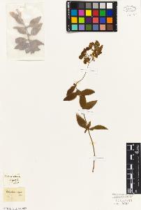 SW_BNB_s3010-07333_IMG-0000000001