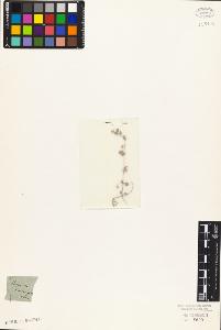 SW_BNB_s3010-07336_IMG-0000000001