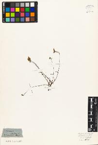 SW_BNB_s3010-07337_IMG-0000000001
