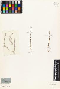 SW_BNB_s3010-07339_IMG-0000000001