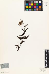 SW_BNB_s3010-07340_IMG-0000000001