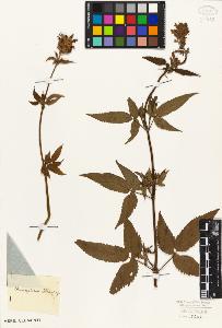 SW_BNB_s3010-07378_IMG-0000000001