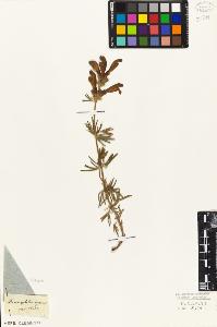 SW_BNB_s3010-07379_IMG-0000000001