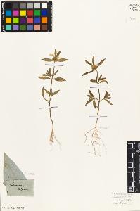 SW_BNB_s3010-07384_IMG-0000000001