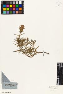 SW_BNB_s3010-07386_IMG-0000000001