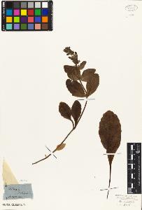 SW_BNB_s3010-07391_IMG-0000000001