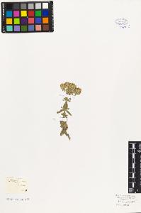 SW_BNB_s3010-07393_IMG-0000000001