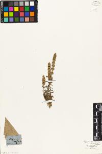 SW_BNB_s3010-07404_IMG-0000000001