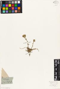 SW_BNB_s3010-07408_IMG-0000000001