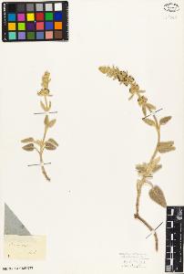 SW_BNB_s3010-07413_IMG-0000000001