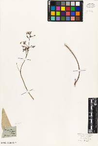 SW_BNB_s3010-07423_IMG-0000000001