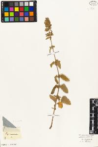 SW_BNB_s3010-07425_IMG-0000000001