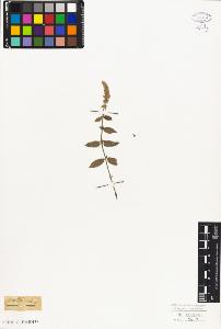 SW_BNB_s3010-07443_IMG-0000000001