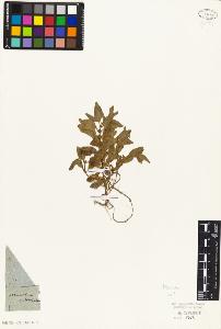 SW_BNB_s3010-07451_IMG-0000000001
