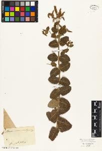 SW_BNB_s3010-07455_IMG-0000000001