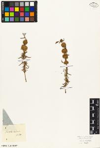 SW_BNB_s3010-07456_IMG-0000000001