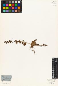 SW_BNB_s3010-07458_IMG-0000000001