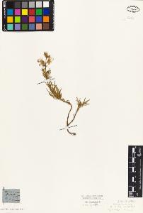 SW_BNB_s3010-07466_IMG-0000000001