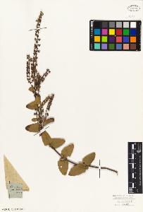 SW_BNB_s3010-07467_IMG-0000000001
